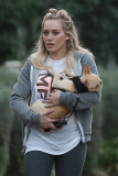 *EXCLUSIVE* Hilary Duff is smitten with her French Bulldog puppy Beau