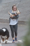 *EXCLUSIVE* Hilary Duff is smitten with her French Bulldog puppy Beau