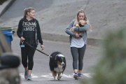 *EXCLUSIVE* Hilary Duff is smitten with her French Bulldog puppy Beau