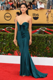 21st Screen Actors Guild Awards, Arrivals, Los Angeles, America - 25 Jan 2015