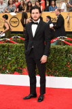 21st Screen Actors Guild Awards, Arrivals, Los Angeles, America - 25 Jan 2015