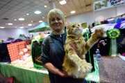 OR: 2015 Portland International Cat Show
