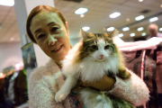 OR: 2015 Portland International Cat Show