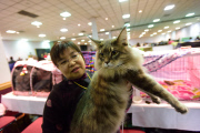 OR: 2015 Portland International Cat Show