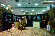 OR: 2015 Portland International Cat Show