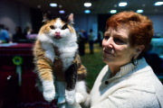 OR: 2015 Portland International Cat Show