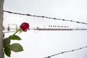 Auschwitz concentration camp, Oswiecim, Poland - 26 Jan 2015