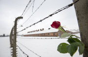 Auschwitz concentration camp, Oswiecim, Poland - 26 Jan 2015