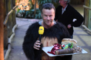 Das Jenke Experiment im Affengehege im Gelsenkirchner Zoo