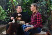 Das Jenke Experiment im Affengehege im Gelsenkirchner Zoo