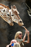 EXC: HEIDI KLUM AT TARONGA ZOO