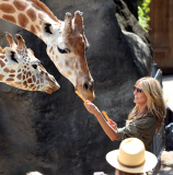 EXC: HEIDI KLUM AT TARONGA ZOO