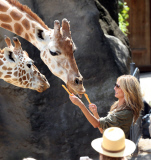 EXC: HEIDI KLUM AT TARONGA ZOO