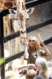 EXC: HEIDI KLUM AT TARONGA ZOO