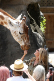EXC: HEIDI KLUM AT TARONGA ZOO