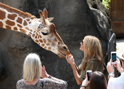EXC: HEIDI KLUM AT TARONGA ZOO