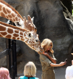 EXC: HEIDI KLUM AT TARONGA ZOO