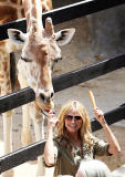 EXC: HEIDI KLUM AT TARONGA ZOO