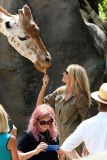 EXC: HEIDI KLUM AT TARONGA ZOO