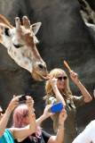 EXC: HEIDI KLUM AT TARONGA ZOO