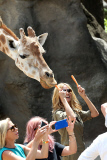 EXC: HEIDI KLUM AT TARONGA ZOO