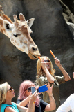 EXC: HEIDI KLUM AT TARONGA ZOO