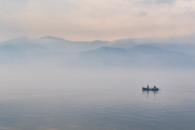 Dalmatian pelicans on Lake Kerkini, Greece - 18 Jan 2015