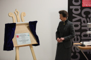 Princess Anne attends the 50th Anniversary of Occupational Therapists Education Conference in Cardiff, Wales, Britain - 29 Jan 2015