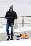Hugh Jackman and Oscar walk the dogs by the Riverbank 