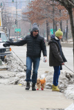 Hugh Jackman and Oscar walk the dogs by the Riverbank 