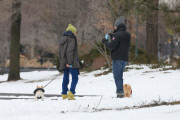 Hugh Jackman and Oscar walk the dogs by the Riverbank 