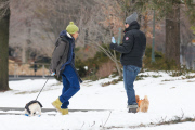 Hugh Jackman and Oscar walk the dogs by the Riverbank 