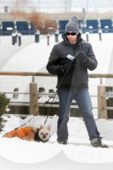Hugh Jackman and Oscar walk the dogs by the Riverbank 