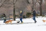 Hugh Jackman and Oscar walk the dogs by the Riverbank 