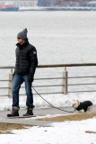 Hugh Jackman and Oscar walk the dogs by the Riverbank 