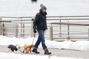 Hugh Jackman and Oscar walk the dogs by the Riverbank 