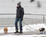 Hugh Jackman and Oscar walk the dogs by the Riverbank 