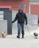 Hugh Jackman and Oscar walk the dogs by the Riverbank 