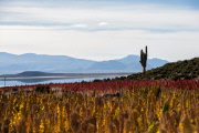 Bolivia - 2013
