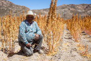 Bolivia - 2013