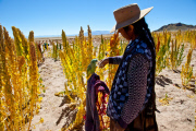 Bolivia - 2013