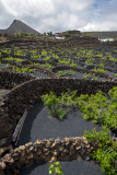 Lanzarote, Canary Islands, Spain - May 2014