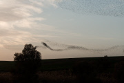 Israel: Nature in the Western Negev