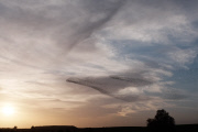 Israel: Nature in the Western Negev