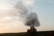 Israel: Nature in the Western Negev
