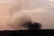 Israel: Nature in the Western Negev