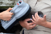 Pinguin Check-up