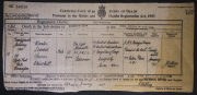 50th anniversary of Churchill's death  - 23 Jan 2015
