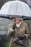 The Royal Artillery Gold Cup horse racing, Sandown Park, Surrey, Britain - 13 Feb 2015
