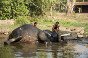 Kerala, India - Jan 2015